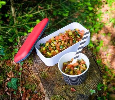 2015-07-zucchetti-tomaten-salat-mit-stangensellerie-dressing